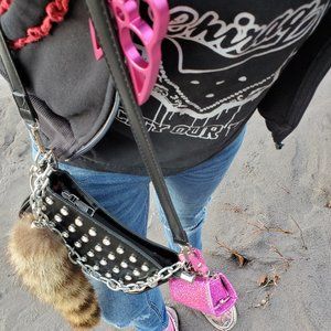 Meet your Posher, Remi